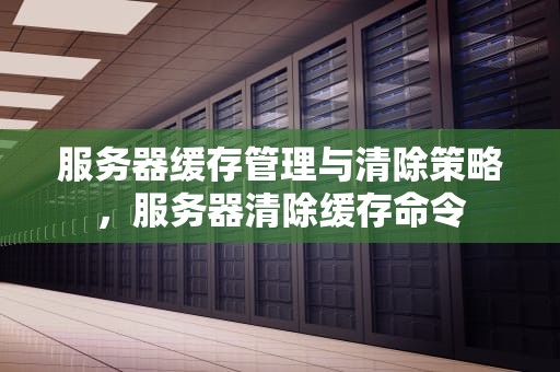 服务器缓存管理与清除策略，服务器清除缓存命令