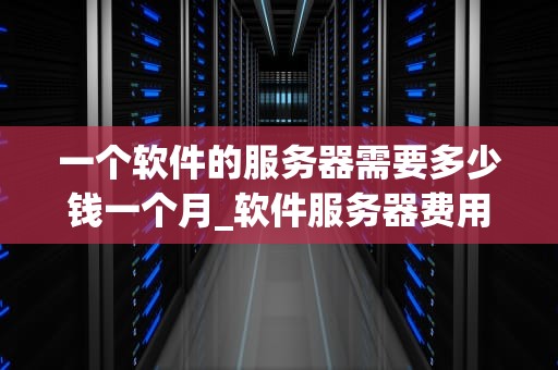 一个软件的服务器需要多少钱一个月_软件服务器费用_软件服务器费用分析及优化策略