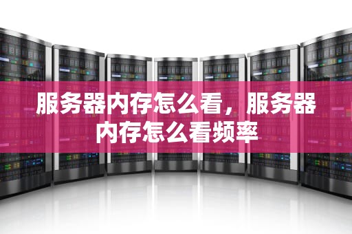 服务器内存怎么看，服务器内存怎么看频率