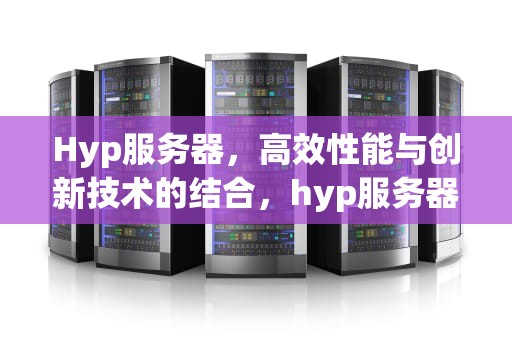 Hyp服务器，高效性能与创新技术的结合，hyp服务器全称
