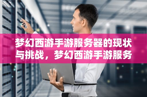 梦幻西游手游服务器的现状与挑战，梦幻西游手游服务器等级限制