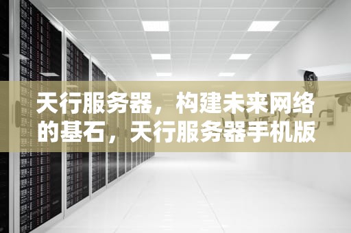 天行服务器，构建未来网络的基石，天行服务器手机版下载