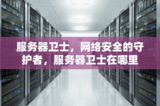 服务器卫士，网络安全的守护者，服务器卫士在哪里