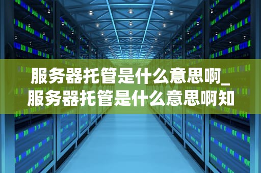 服务器托管是什么意思啊_服务器托管是什么意思啊知乎_服务器托管的全面解析