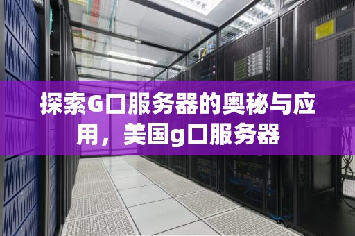 探索G口服务器的奥秘与应用，美国g口服务器