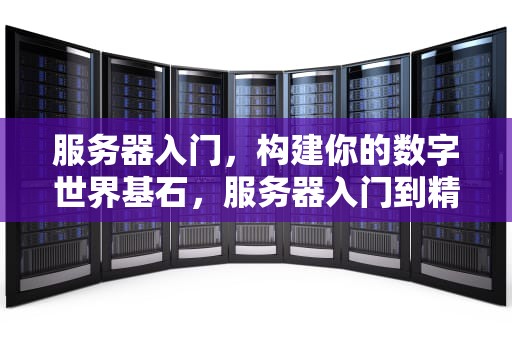 服务器入门，构建你的数字世界基石，服务器入门到精通书籍