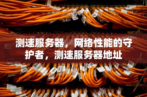 测速服务器，网络性能的守护者，测速服务器地址