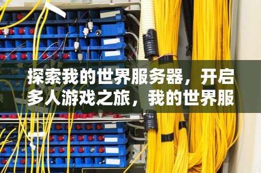 探索我的世界服务器，开启多人游戏之旅，我的世界服务器怎么进去