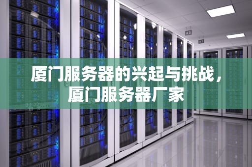 厦门服务器的兴起与挑战，厦门服务器厂家