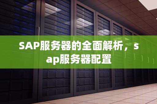SAP服务器的全面解析，sap服务器配置