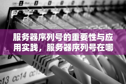 服务器序列号的重要性与应用实践，服务器序列号在哪里看
