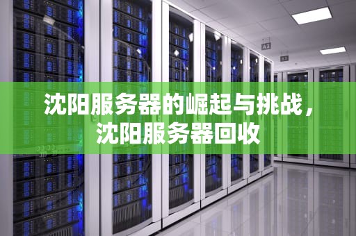 沈阳服务器的崛起与挑战，沈阳服务器回收