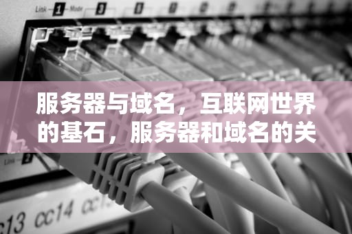 服务器与域名，互联网世界的基石，服务器和域名的关系