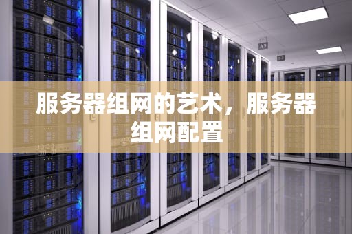 服务器组网的艺术，服务器组网配置