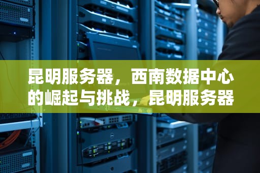 昆明服务器，西南数据中心的崛起与挑战，昆明服务器托管