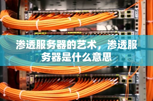 渗透服务器的艺术，渗透服务器是什么意思