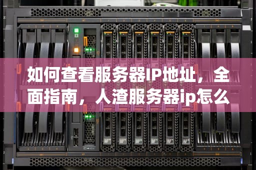 如何查看服务器IP地址，全面指南，人渣服务器ip怎么看