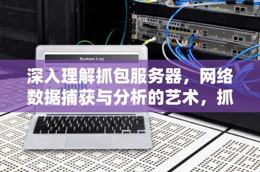深入理解抓包服务器，网络数据捕获与分析的艺术，抓包服务器给我打电话干嘛