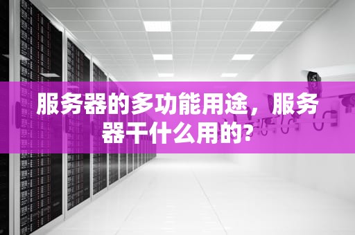 服务器的多功能用途，服务器干什么用的?
