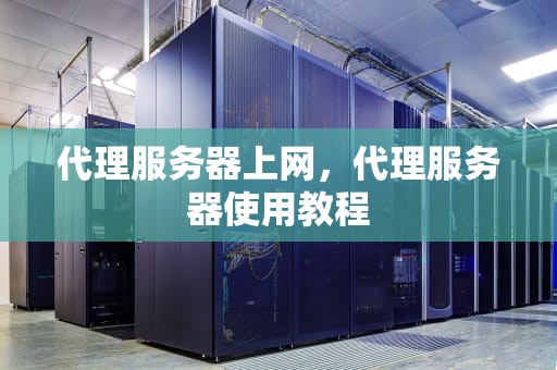 代理服务器上网，代理服务器使用教程