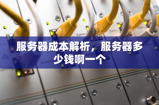服务器成本解析，服务器多少钱啊一个