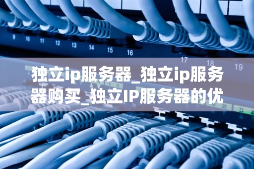 独立ip服务器_独立ip服务器购买_独立IP服务器的优势与应用