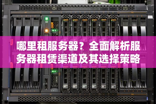 哪里租服务器？全面解析服务器租赁渠道及其选择策略，哪里租服务器便宜