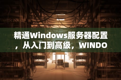 精通Windows服务器配置，从入门到高级，WINDOWS服务器配置与管理