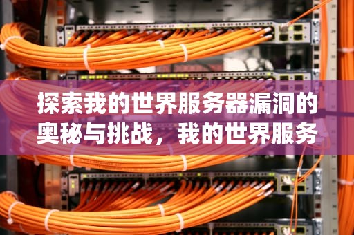 探索我的世界服务器漏洞的奥秘与挑战，我的世界服务器bug卡创造
