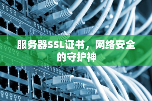 服务器SSL证书，网络安全的守护神