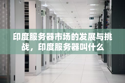印度服务器市场的发展与挑战，印度服务器叫什么