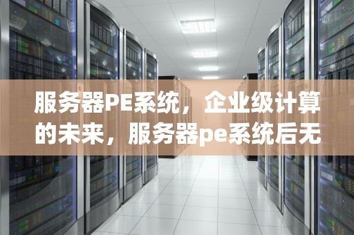 服务器PE系统，企业级计算的未来，服务器pe系统后无法进入系统