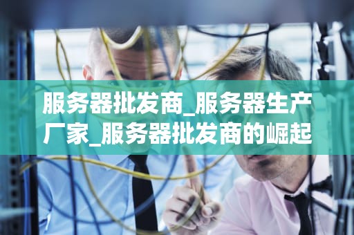 服务器批发商_服务器生产厂家_服务器批发商的崛起与挑战