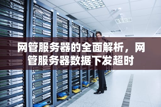 网管服务器的全面解析，网管服务器数据下发超时