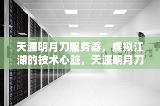 天涯明月刀服务器，虚拟江湖的技术心脏，天涯明月刀服务器名称