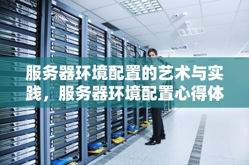 服务器环境配置的艺术与实践，服务器环境配置心得体会
