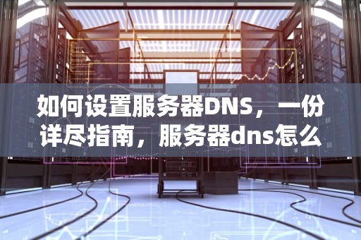 如何设置服务器DNS，一份详尽指南，服务器dns怎么设置多少