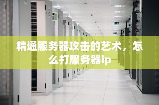 精通服务器攻击的艺术，怎么打服务器ip