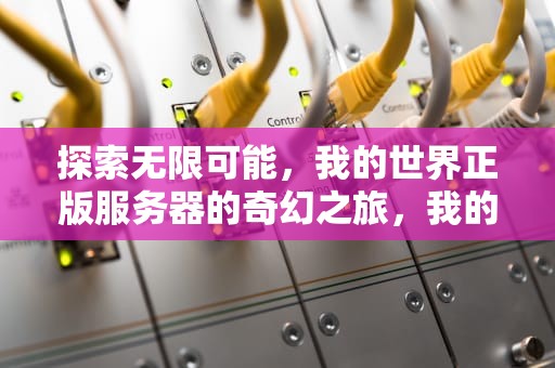 探索无限可能，我的世界正版服务器的奇幻之旅，我的世界正版服务器推荐