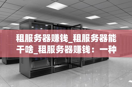 租服务器赚钱_租服务器能干啥_租服务器赚钱：一种新兴的互联网创业方式