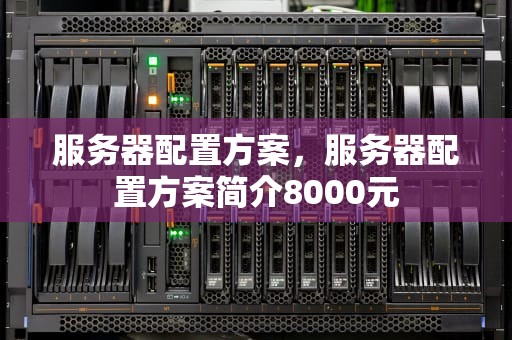 服务器配置方案，服务器配置方案简介8000元