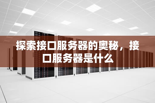 探索接口服务器的奥秘，接口服务器是什么
