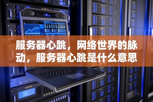 服务器心跳，网络世界的脉动，服务器心跳是什么意思