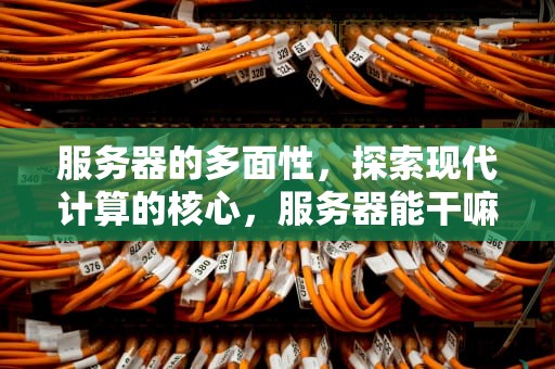 服务器的多面性，探索现代计算的核心，服务器能干嘛用