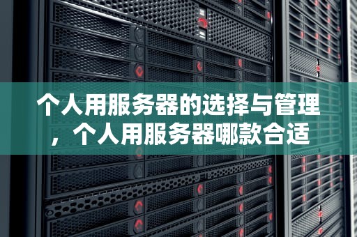 个人用服务器的选择与管理，个人用服务器哪款合适