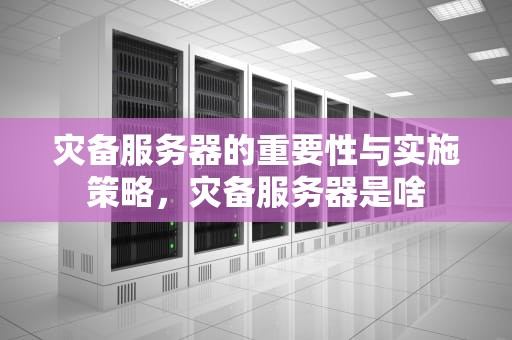 灾备服务器的重要性与实施策略，灾备服务器是啥