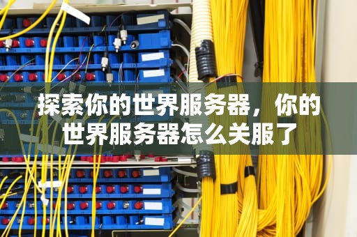 探索你的世界服务器，你的世界服务器怎么关服了