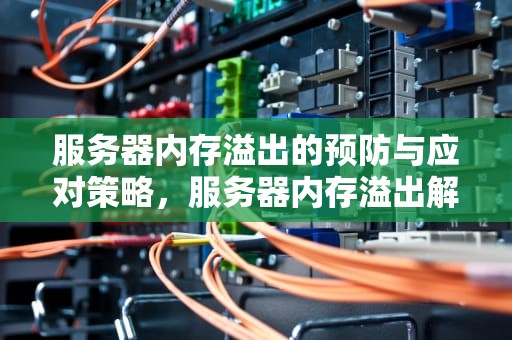 服务器内存溢出的预防与应对策略，服务器内存溢出解决方法