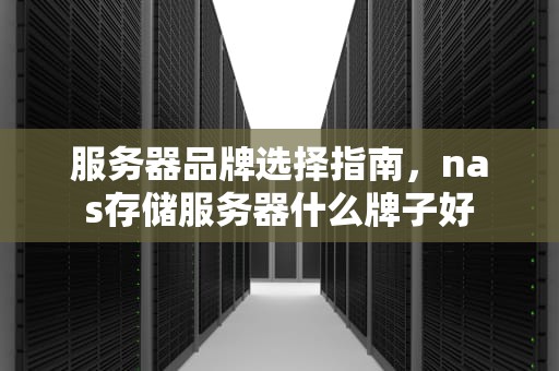 服务器品牌选择指南，nas存储服务器什么牌子好