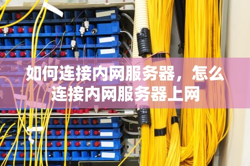 如何连接内网服务器，怎么连接内网服务器上网